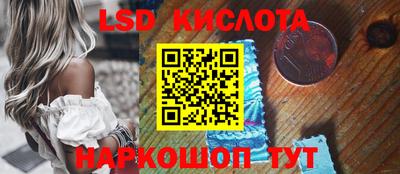 прущие грибы Обнинск