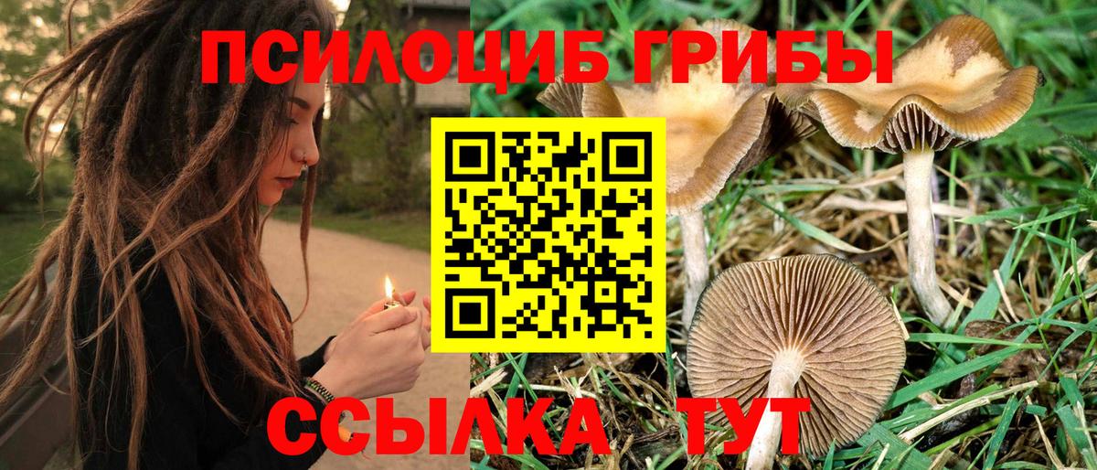 наркошоп  Псилоцибиновые грибы MAGIC MUSHROOMS  Вход с VPN  Слободской 